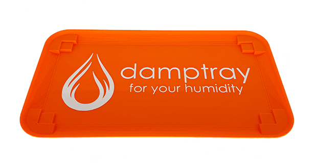 damptray orange